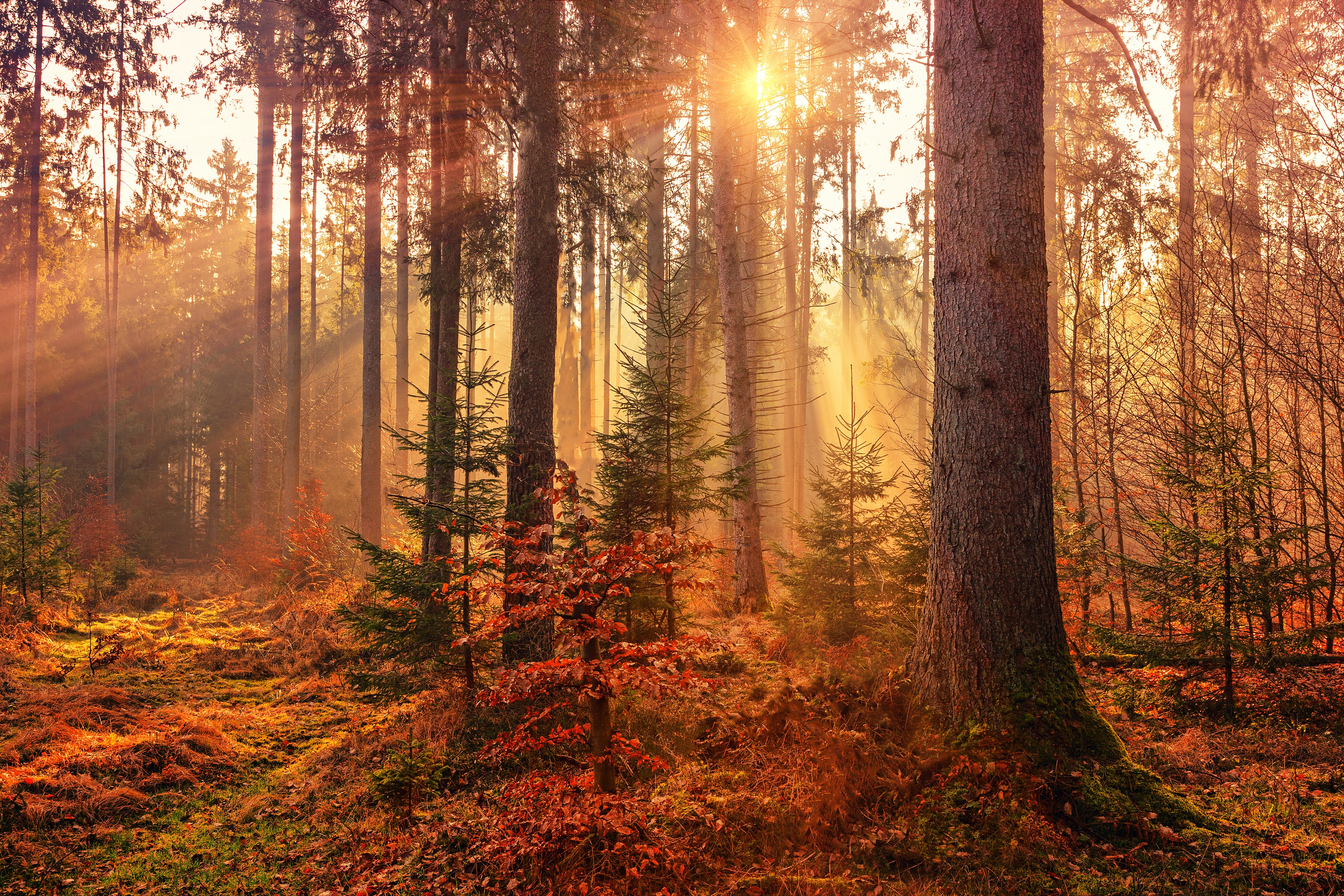 Keeping it Cosy: 11 Autumnal Independent Brands - The CREOATE Blog