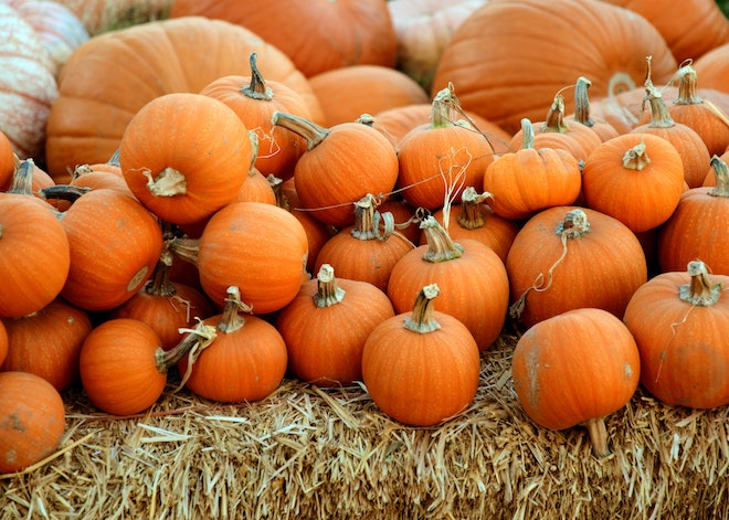 7 Last-Minute Halloween Shop Window Displays | Creoate Blog