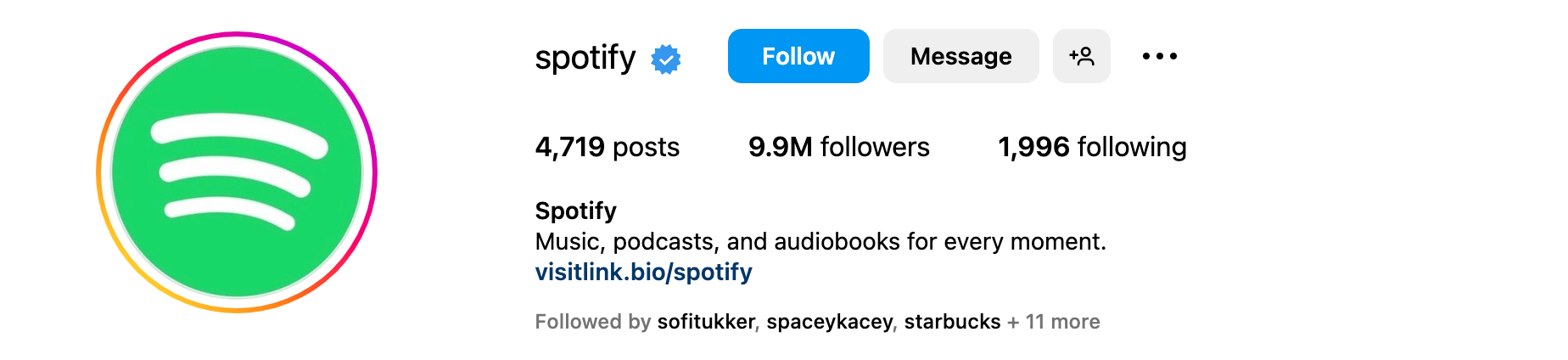 Insgtagram bio ideas - Spotify