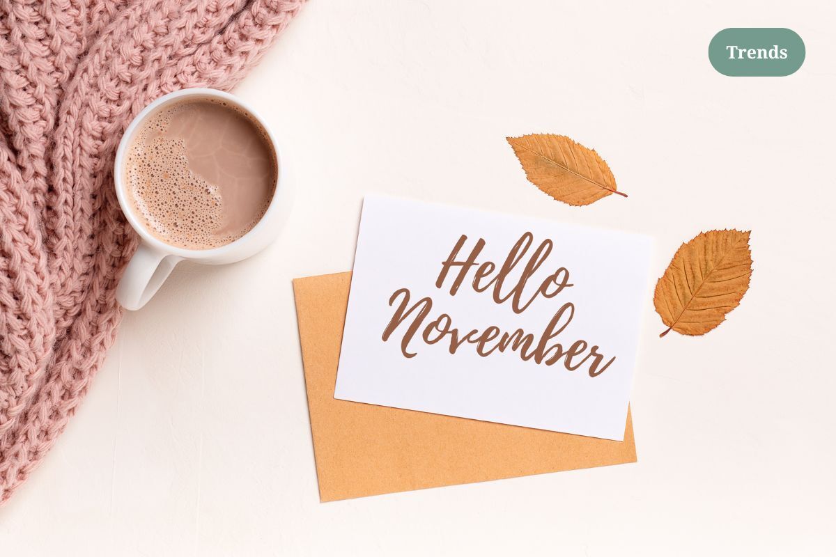 Unpacking November Retail Trends with CREOATE
