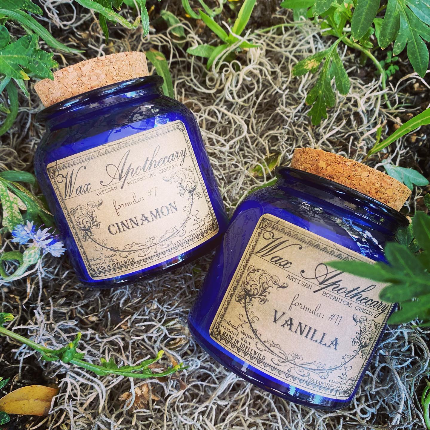 wax-apothecary