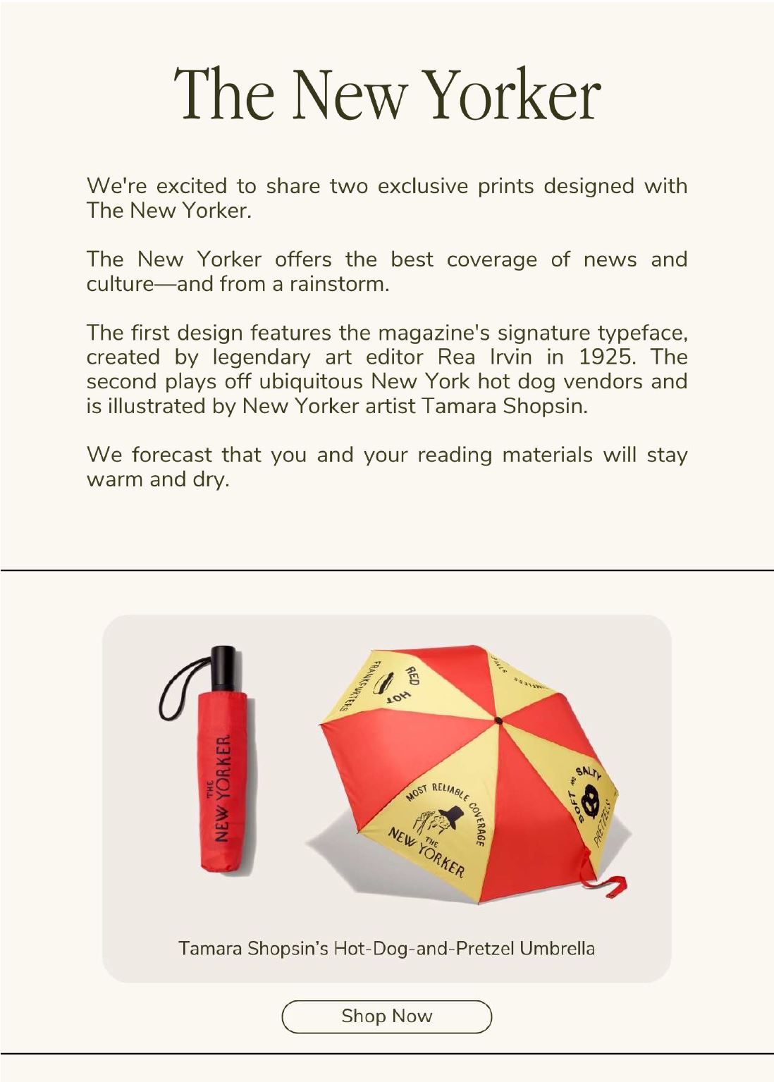 Second page of New York themed newsletter Small business newsletter examples