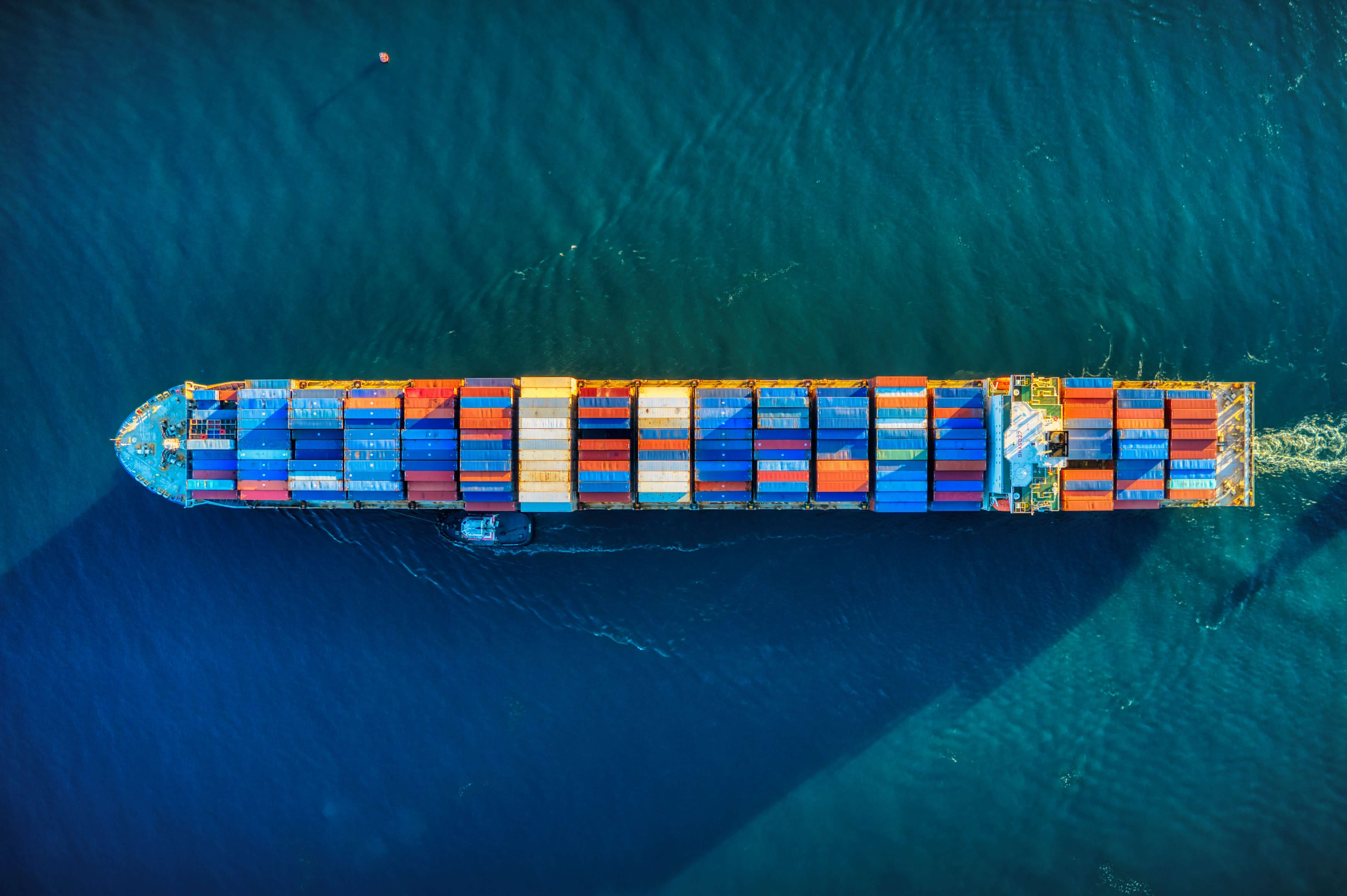 HS Codes: Impact on Your Business Explained