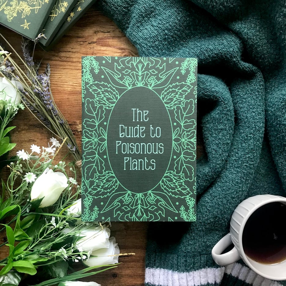 tied-fates-notebook-2