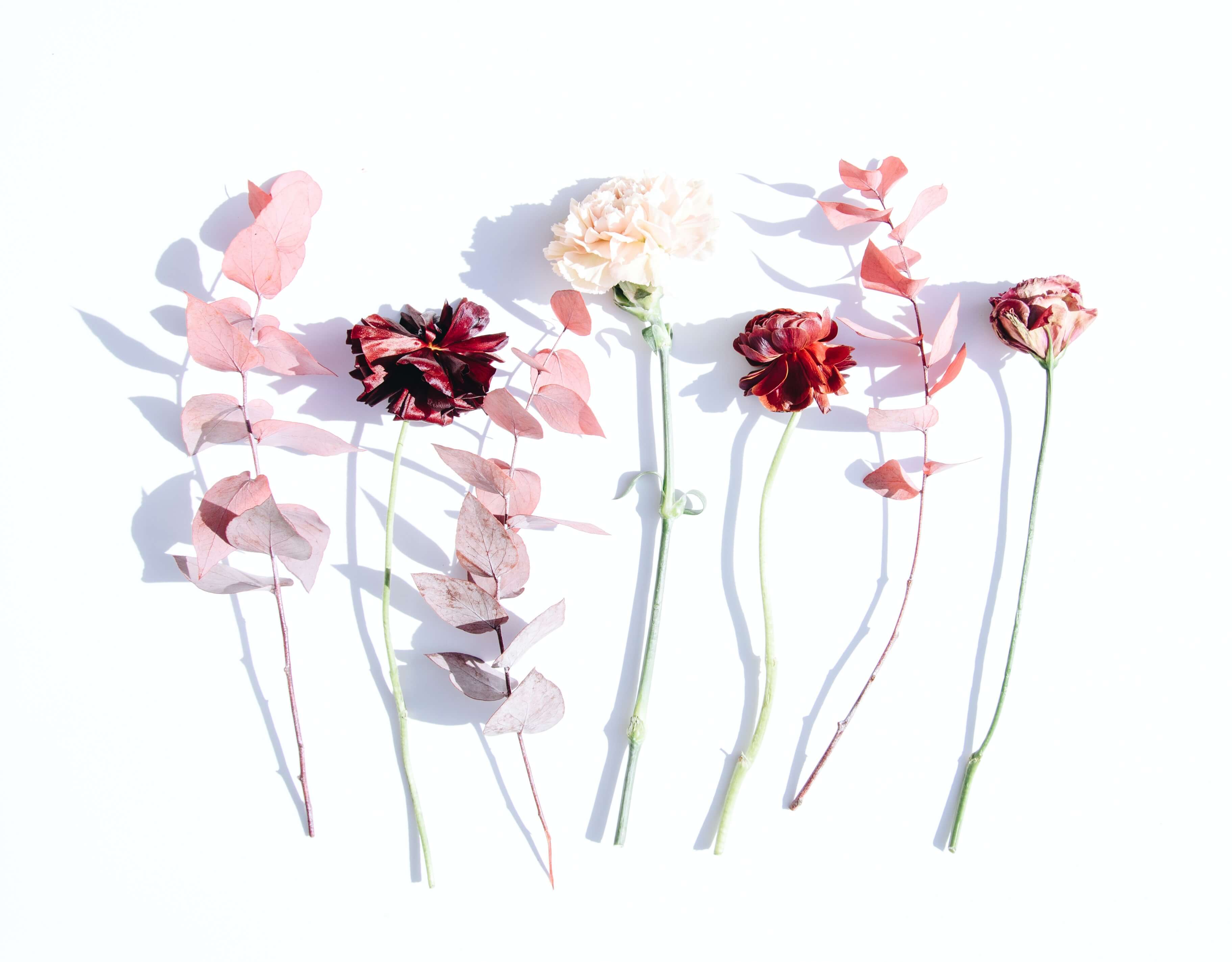 Brands in Bloom: 13 Independent Brands for Plant Enthusiasts | The CREOATE Blog